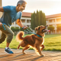 Understanding Your Pet's Exercise Needs for a Healthy Lifestyle