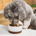 Debunking Myths: Understanding Healthy Pet Diets
