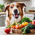 Ensuring Your Pet's Fiber Intake for a Healthy Diet