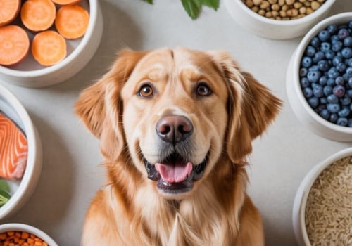 Navigating Your Pet's Sensitive Stomach: A Guide to a Healthy Diet