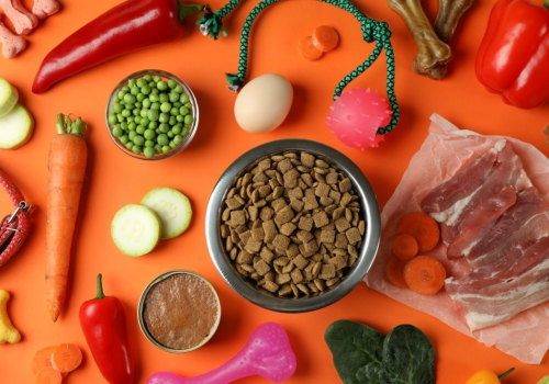 Essential Ingredients for a Healthy Pet Diet