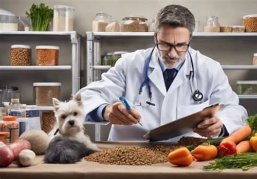 Consulting a Veterinarian: The Key to a Healthy Pet Diet
