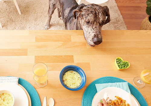 Understanding the Safety of Feeding Your Pet Human Food and Table Scraps