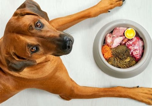 Essential Foods to Avoid for a Healthy Pet Diet