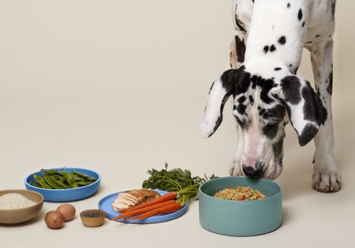 Navigating Your Pet's Dietary Transition: A Guide to a Healthy Pet Diet